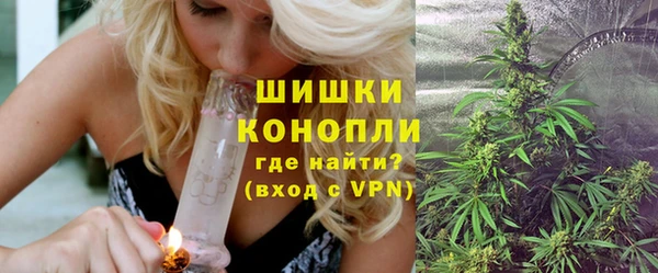 ПСИЛОЦИБИНОВЫЕ ГРИБЫ Арсеньев