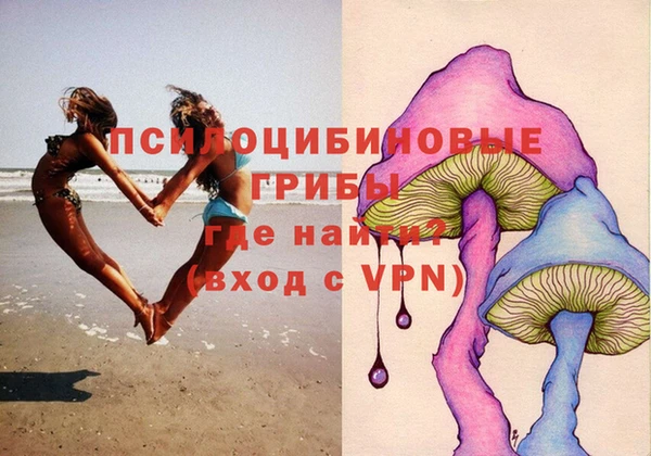 ПСИЛОЦИБИНОВЫЕ ГРИБЫ Арсеньев