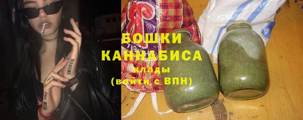 ПСИЛОЦИБИНОВЫЕ ГРИБЫ Арсеньев
