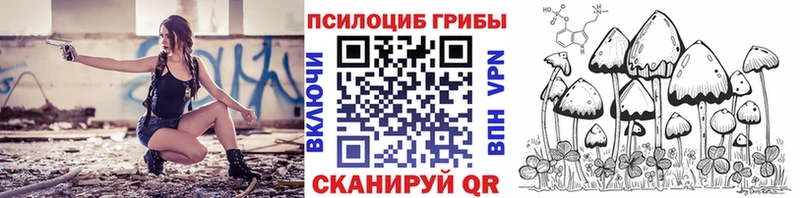 Псилоцибиновые грибы GOLDEN TEACHER  Ростов 